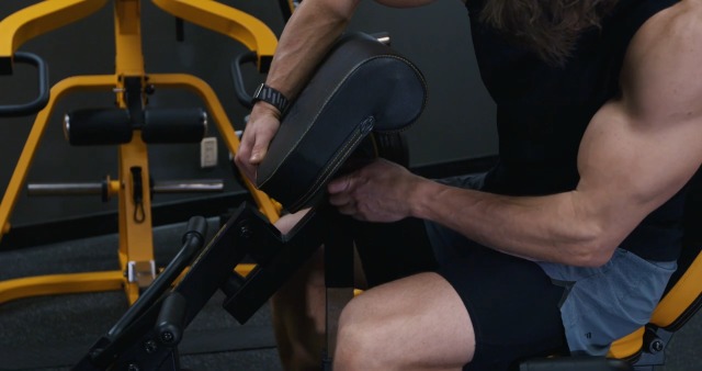 Amazon.com : Powertec Fitness Workbench Curl Weight Machine